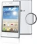 LG Optimus L5 E610 White
