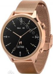 Garett Electronics Veronica Gold Steel 