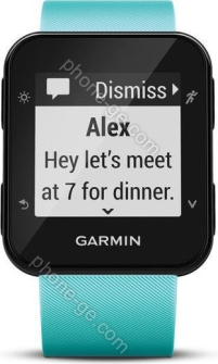 Garmin Forerunner 35 frost blue 