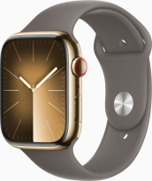 Apple Watch Series 9 (GPS + cellular) 45mm stainless steel gold with sport wristlet S/M tonbraun 