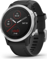 Garmin Fenix 6S black/silver 