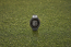 Garmin Approach S12 2022 Edition slate grey 