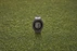 Garmin Approach S12 2022 Edition slate grey