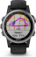 Garmin Fenix 5S Plus silver/black 