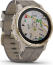 Garmin Fenix 6S Sapphire light gold/shale grey leather 
