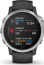 Garmin Fenix 6S black/silver 