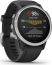 Garmin Fenix 6S black/silver 