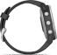 Garmin Fenix 6S black/silver 