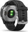 Garmin Fenix 6S black/silver 