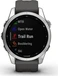 Garmin Fenix 7S silver/graphite