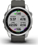 Garmin Fenix 7S silver/graphite 