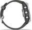 Garmin Fenix 7S silver/graphite 