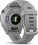 Garmin Forerunner 255S powder grey 