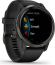 Garmin Venu 2 black/slate 