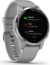 Garmin vivoactive 4S powder grey/silver 