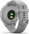 Garmin vivomove 3 activity tracker powder grey/silver