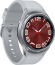 Samsung Galaxy Watch 6 Classic LTE 43mm silver 