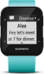 Garmin Forerunner 35 frost blue 