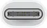 Apple USB-C on Lightning adapter adapter