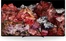 Sony XR-85X95L