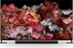 Sony XR-85X95L