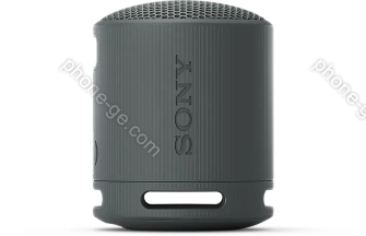 Sony SRS-XB100 black