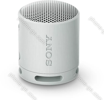 Sony SRS-XB100 grey