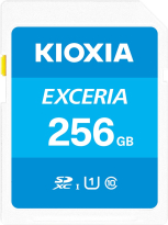 KIOXIA EXCERIA R100 SDXC 256GB, UHS-I U1, Class 10