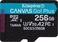 Kingston Canvas Go! Plus R170/W90 microSDXC 256GB Kit, UHS-I U3, A2, Class 10