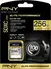 PNY Elite Performance R100/W75 SDXC 256GB, UHS-I U3, Class 10