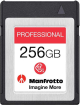 Delkin Manfrotto Professional R1730/W1540 CFexpress Type B 256GB