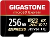 Gigastone SD7.1 R880/W650 microSDXC Express 256GB Kit inkl. USB-C Cardreader, UHS-I U3, A1, Class 10, SD Express EX I