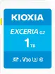 KIOXIA EXCERIA G2 R100/W50 SDXC 1TB, UHS-I U3, Class 10