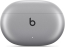 Apple Beats Studio Buds + silver