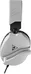 Turtle Beach Recon 70 for PS5 White